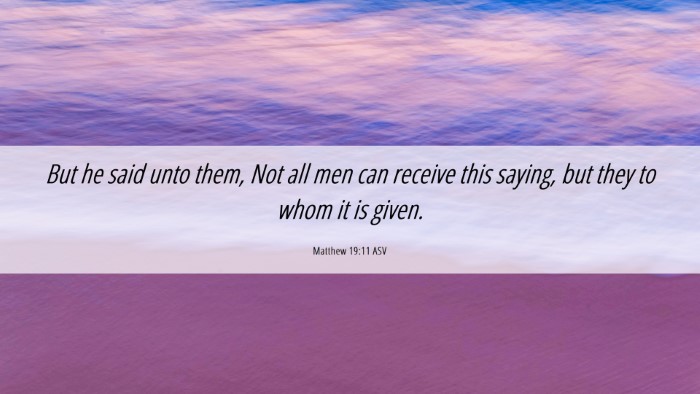 Picture 06 - Matthew 19:11 ASV Desktop Wallpaper - But he said unto them, Not all men can receive - Desktop Bible Verse Wallpaper