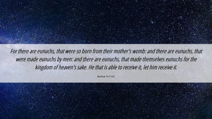 Picture 06 - Matthew 19:12 ASV Desktop Wallpaper - For there are eunuchs, that were so born from - Desktop Bible Verse Wallpaper