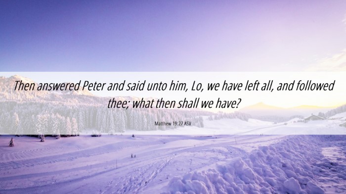 Picture 06 - Matthew 19:27 ASV Desktop Wallpaper - Then answered Peter and said unto him, Lo, we - Desktop Bible Verse Wallpaper