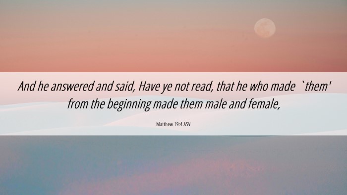Picture 06 - Matthew 19:4 ASV Desktop Wallpaper - And he answered and said, Have ye not read, that - Desktop Bible Verse Wallpaper