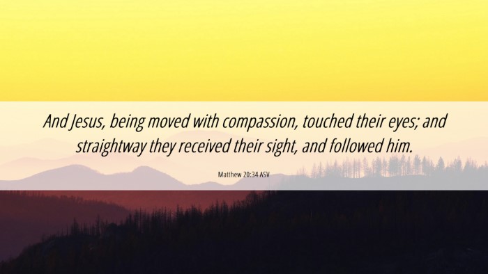 Picture 06 - Matthew 20:34 ASV Desktop Wallpaper - And Jesus, being moved with compassion, touched - Desktop Bible Verse Wallpaper