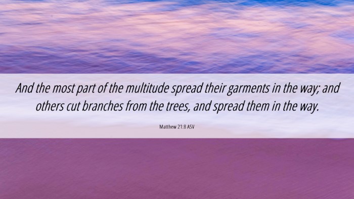 Picture 06 - Matthew 21:8 ASV Desktop Wallpaper - And the most part of the multitude spread their - Desktop Bible Verse Wallpaper