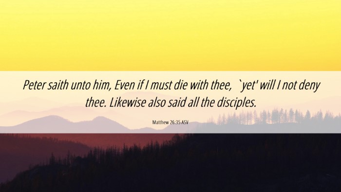 Picture 06 - Matthew 26:35 ASV Desktop Wallpaper - Peter saith unto him, Even if I must die with - Desktop Bible Verse Wallpaper