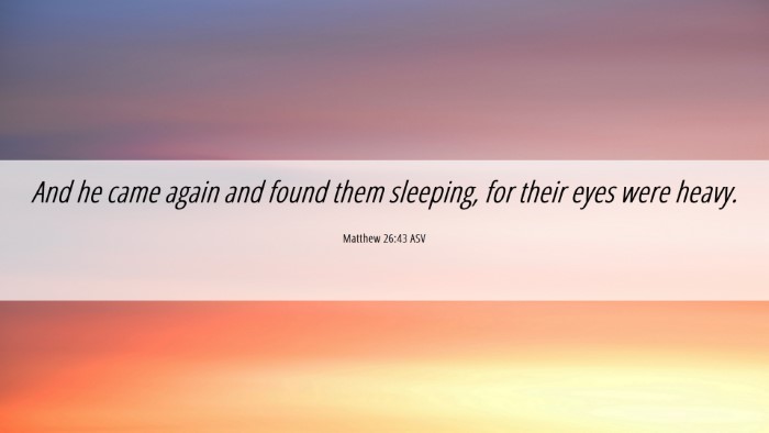 Picture 06 - Matthew 26:43 ASV Desktop Wallpaper - And he came again and found them sleeping, for - Desktop Bible Verse Wallpaper
