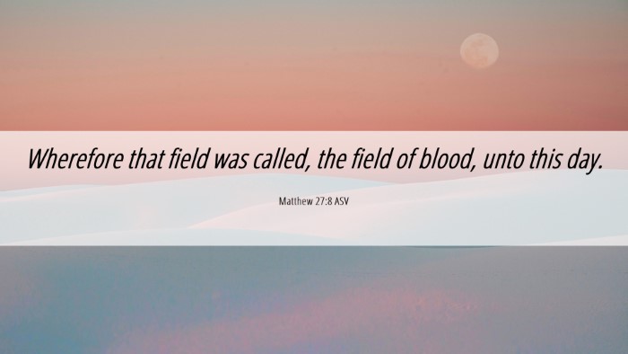 Picture 06 - Matthew 27:8 ASV Desktop Wallpaper - Wherefore that field was called, the field of - Desktop Bible Verse Wallpaper