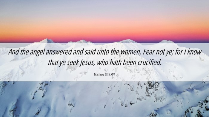 Picture 06 - Matthew 28:5 ASV Desktop Wallpaper - And the angel answered and said unto the women, - Desktop Bible Verse Wallpaper
