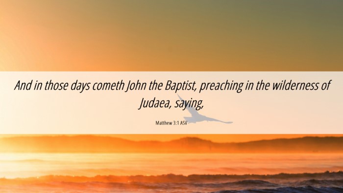 Picture 06 - Matthew 3:1 ASV Desktop Wallpaper - And in those days cometh John the Baptist, - Desktop Bible Verse Wallpaper