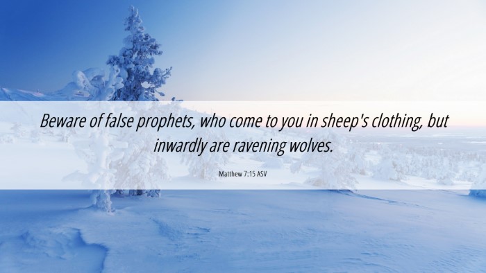 Picture 06 - Matthew 7:15 ASV Desktop Wallpaper - Beware of false prophets, who come to you in - Desktop Bible Verse Wallpaper