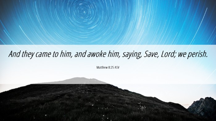 Picture 06 - Matthew 8:25 ASV Desktop Wallpaper - And they came to him, and awoke him, saying, - Desktop Bible Verse Wallpaper