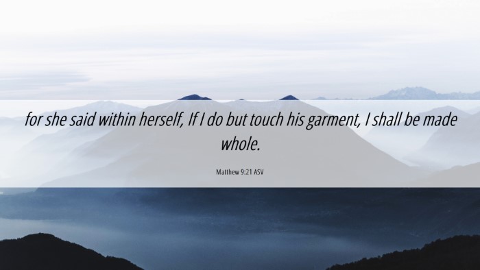 Picture 06 - Matthew 9:21 ASV Desktop Wallpaper - for she said within herself, If I do but touch - Desktop Bible Verse Wallpaper