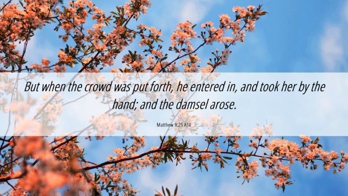 Picture 06 - Matthew 9:25 ASV Desktop Wallpaper - But when the crowd was put forth, he entered in, - Desktop Bible Verse Wallpaper