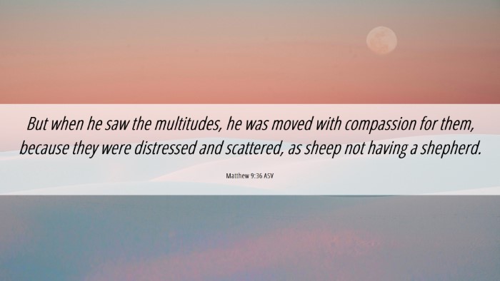 Picture 06 - Matthew 9:36 ASV Desktop Wallpaper - But when he saw the multitudes, he was moved with - Desktop Bible Verse Wallpaper