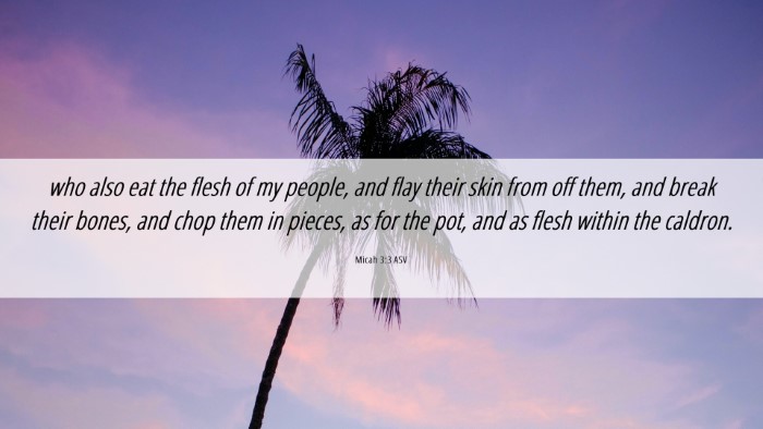 Picture 06 - Micah 3:3 ASV Desktop Wallpaper - who also eat the flesh of my people, and flay - Desktop Bible Verse Wallpaper
