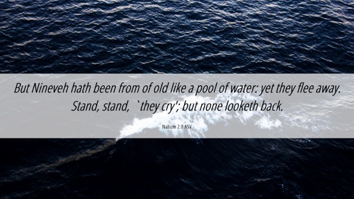 Picture 06 - Nahum 2:8 ASV Desktop Wallpaper - But Nineveh hath been from of old like a pool of - Desktop Bible Verse Wallpaper