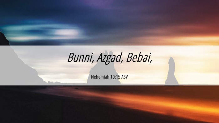 Picture 06 - Nehemiah 10:15 ASV Desktop Wallpaper - Bunni, Azgad, - Desktop Bible Verse Wallpaper