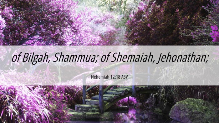 Picture 06 - Nehemiah 12:18 ASV Desktop Wallpaper - of Bilgah, Shammua; of Shemaiah, - Desktop Bible Verse Wallpaper