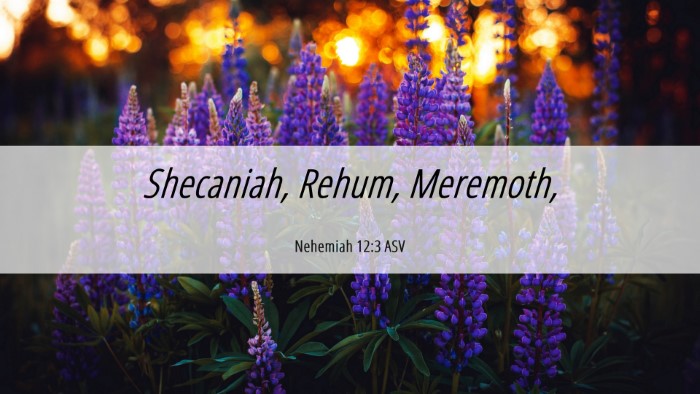 Picture 06 - Nehemiah 12:3 ASV Desktop Wallpaper - Shecaniah, Rehum, - Desktop Bible Verse Wallpaper