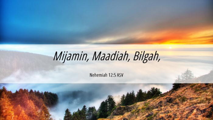 Picture 06 - Nehemiah 12:5 ASV Desktop Wallpaper - Mijamin, Maadiah, - Desktop Bible Verse Wallpaper