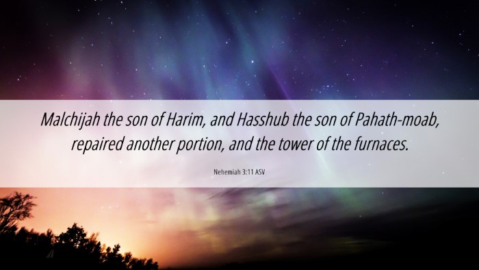 Picture 06 - Nehemiah 3:11 ASV Desktop Wallpaper - Malchijah the son of Harim, and Hasshub the son - Desktop Bible Verse Wallpaper