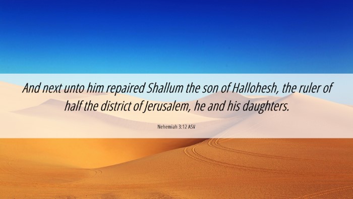 Picture 06 - Nehemiah 3:12 ASV Desktop Wallpaper - And next unto him repaired Shallum the son of - Desktop Bible Verse Wallpaper