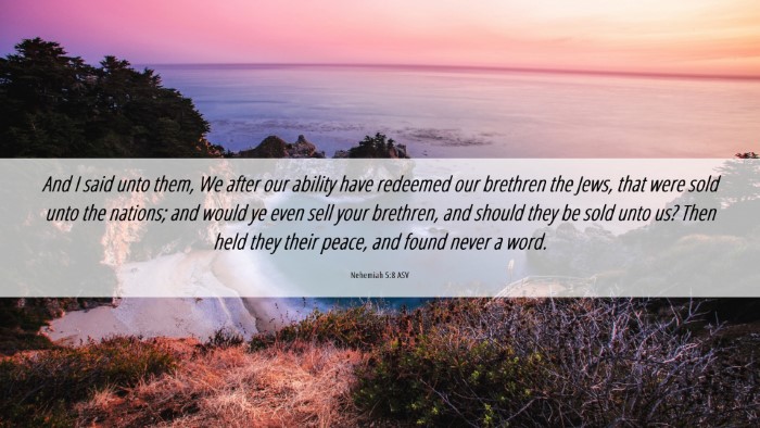 Picture 06 - Nehemiah 5:8 ASV Desktop Wallpaper - And I said unto them, We after our ability have - Desktop Bible Verse Wallpaper