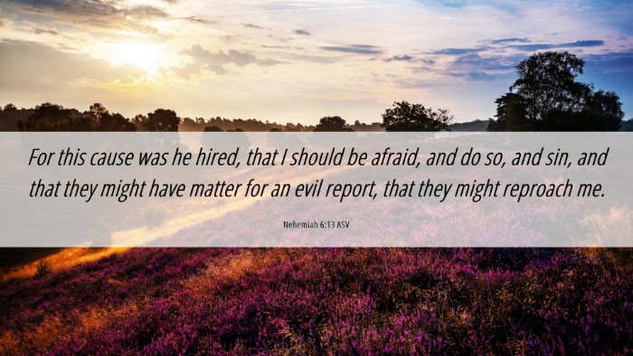 Picture 06 - Nehemiah 6:13 ASV Desktop Wallpaper - For this cause was he hired, that I should be - Desktop Bible Verse Wallpaper