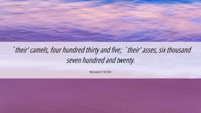 Picture 06 - Nehemiah 7:69 ASV Desktop Wallpaper - `their' camels, four hundred thirty and five; - Desktop Bible Verse Wallpaper
