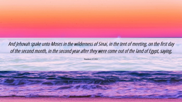 Picture 06 - Numbers 1:1 ASV Desktop Wallpaper - And Jehovah spake unto Moses in the wilderness of - Desktop Bible Verse Wallpaper