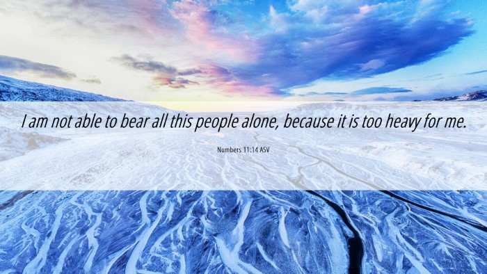 Picture 06 - Numbers 11:14 ASV Desktop Wallpaper - I am not able to bear all this people alone, - Desktop Bible Verse Wallpaper