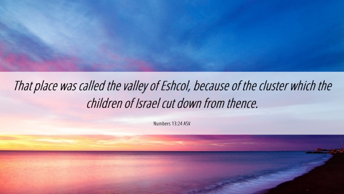 Picture 06 - Numbers 13:24 ASV Desktop Wallpaper - That place was called the valley of Eshcol, - Desktop Bible Verse Wallpaper