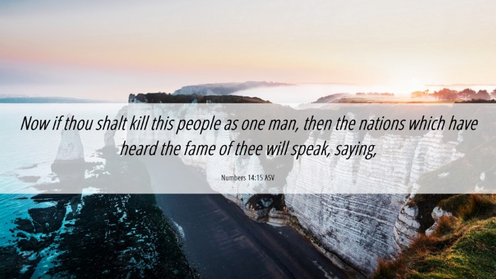 Picture 06 - Numbers 14:15 ASV Desktop Wallpaper - Now if thou shalt kill this people as one man, - Desktop Bible Verse Wallpaper