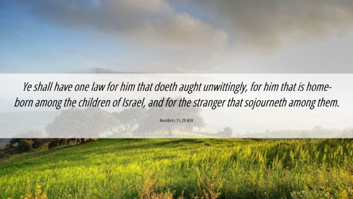 Picture 06 - Numbers 15:29 ASV Desktop Wallpaper - Ye shall have one law for him that doeth aught - Desktop Bible Verse Wallpaper