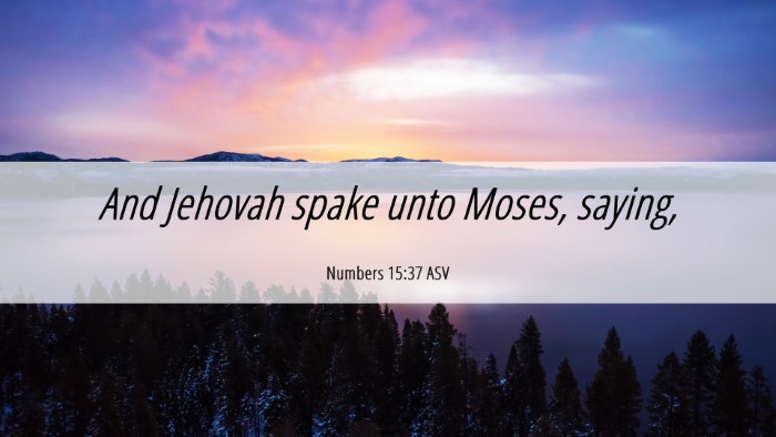 Picture 06 - Numbers 15:37 ASV Desktop Wallpaper - And Jehovah spake unto Moses, - Desktop Bible Verse Wallpaper