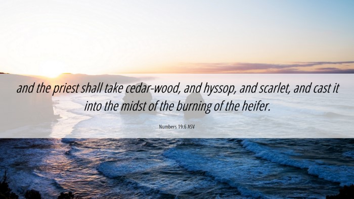 Picture 06 - Numbers 19:6 ASV Desktop Wallpaper - and the priest shall take cedar-wood, and hyssop, - Desktop Bible Verse Wallpaper