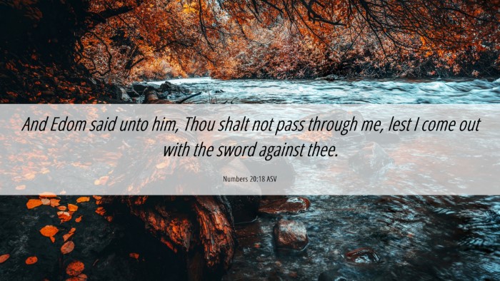 Picture 06 - Numbers 20:18 ASV Desktop Wallpaper - And Edom said unto him, Thou shalt not pass - Desktop Bible Verse Wallpaper