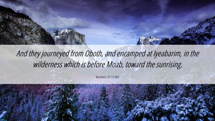 Picture 06 - Numbers 21:11 ASV Desktop Wallpaper - And they journeyed from Oboth, and encamped at - Desktop Bible Verse Wallpaper