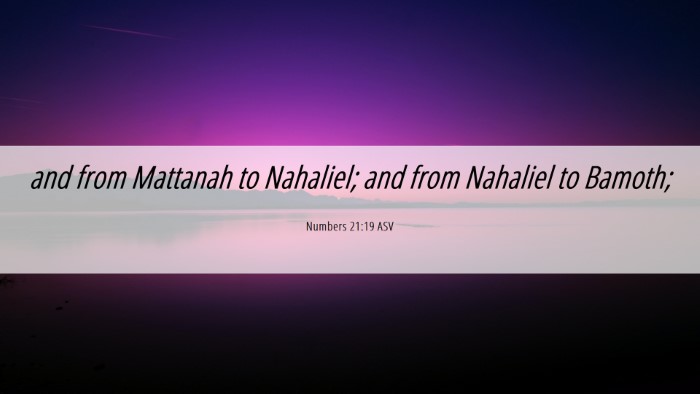 Picture 06 - Numbers 21:19 ASV Desktop Wallpaper - and from Mattanah to Nahaliel; and from Nahaliel - Desktop Bible Verse Wallpaper