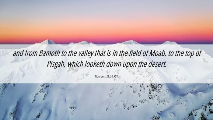 Picture 06 - Numbers 21:20 ASV Desktop Wallpaper - and from Bamoth to the valley that is in the - Desktop Bible Verse Wallpaper
