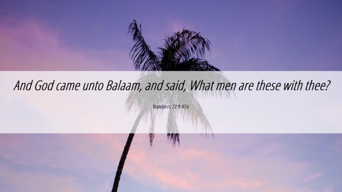 Picture 06 - Numbers 22:9 ASV Desktop Wallpaper - And God came unto Balaam, and said, What men are - Desktop Bible Verse Wallpaper