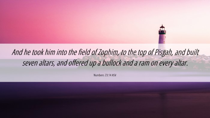 Picture 06 - Numbers 23:14 ASV Desktop Wallpaper - And he took him into the field of Zophim, to the - Desktop Bible Verse Wallpaper