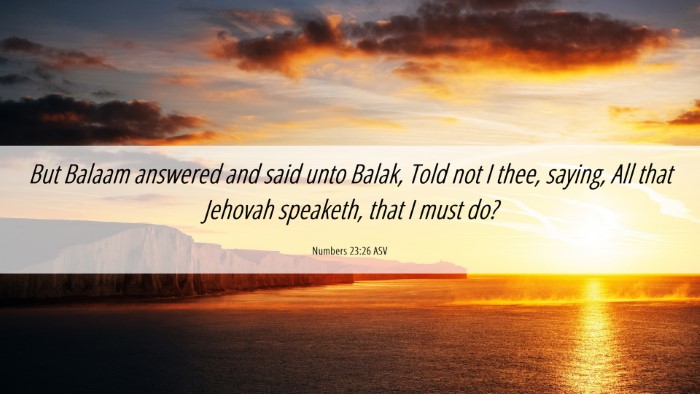 Picture 06 - Numbers 23:26 ASV Desktop Wallpaper - But Balaam answered and said unto Balak, Told not - Desktop Bible Verse Wallpaper