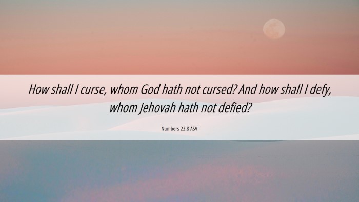 Picture 06 - Numbers 23:8 ASV Desktop Wallpaper - How shall I curse, whom God hath not cursed? And - Desktop Bible Verse Wallpaper
