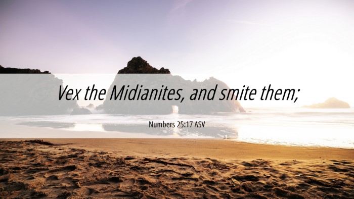 Picture 06 - Numbers 25:17 ASV Desktop Wallpaper - Vex the Midianites, and smite - Desktop Bible Verse Wallpaper