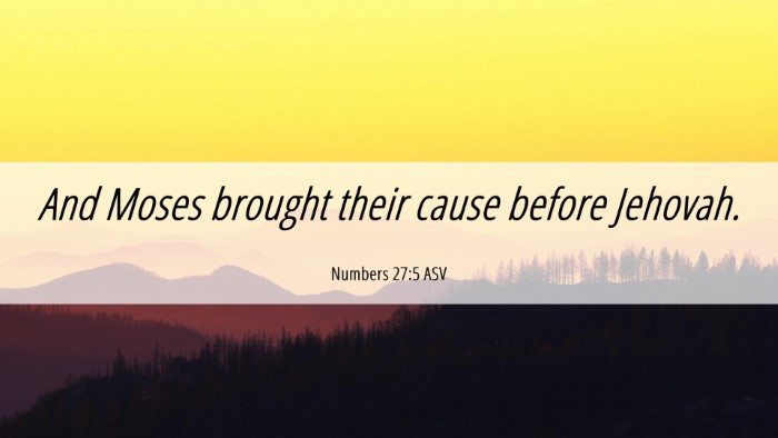 Picture 06 - Numbers 27:5 ASV Desktop Wallpaper - And Moses brought their cause before - Desktop Bible Verse Wallpaper