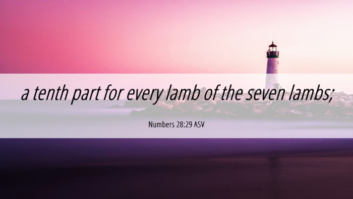 Picture 06 - Numbers 28:29 ASV Desktop Wallpaper - a tenth part for every lamb of the seven - Desktop Bible Verse Wallpaper