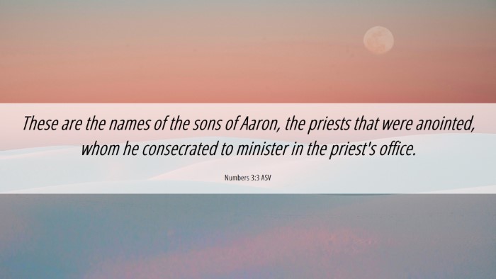 Picture 06 - Numbers 3:3 ASV Desktop Wallpaper - These are the names of the sons of Aaron, the - Desktop Bible Verse Wallpaper