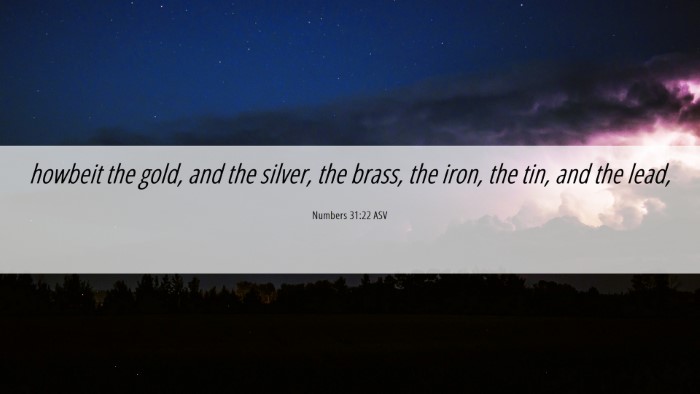 Picture 06 - Numbers 31:22 ASV Desktop Wallpaper - howbeit the gold, and the silver, the brass, the - Desktop Bible Verse Wallpaper