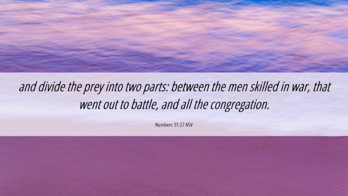 Picture 06 - Numbers 31:27 ASV Desktop Wallpaper - and divide the prey into two parts: between the - Desktop Bible Verse Wallpaper