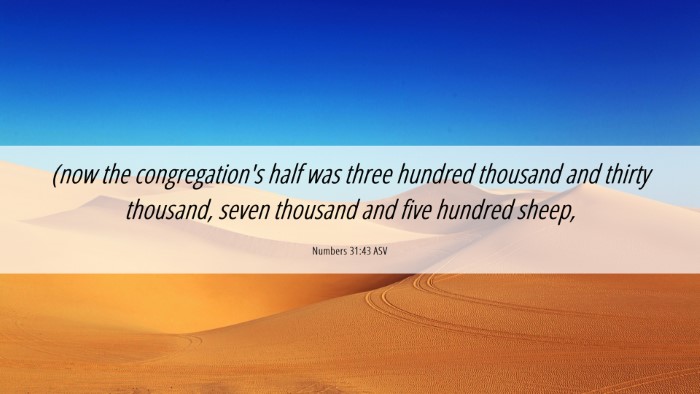 Picture 06 - Numbers 31:43 ASV Desktop Wallpaper - (now the congregation's half was three hundred - Desktop Bible Verse Wallpaper