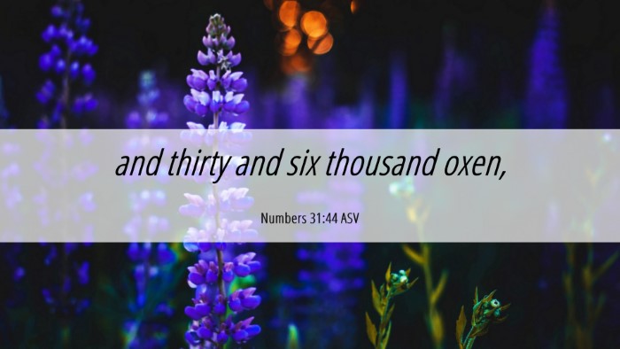 Picture 06 - Numbers 31:44 ASV Desktop Wallpaper - and thirty and six thousand - Desktop Bible Verse Wallpaper